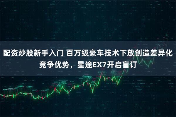 配资炒股新手入门 百万级豪车技术下放创造差异化竞争优势，星途EX7开启盲订